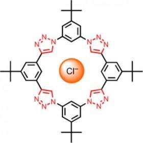 Mini-Donut Catches Chloride Ions
