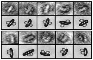 Nanoscale tool allows scientists to study membrane proteins one at a time