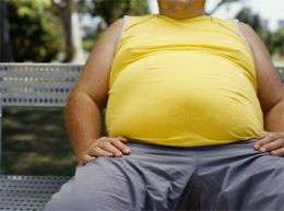 No link between gut bugs and obesity