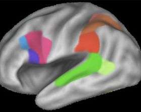 Passive learning imprints on the brain just like active learning