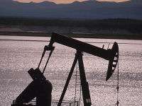 UK economy is hostage to oil, warns expert