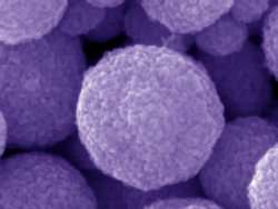 Popcorn-ball design doubles efficiency of dye-sensitized solar cells