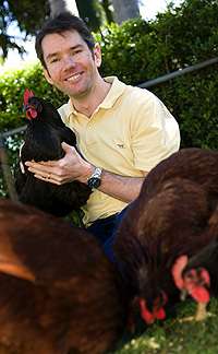 Research reveals the origins of chooks
