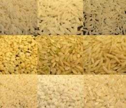 Rice grown in United States contains less-dangerous form of arsenic