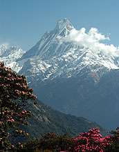 Sedimentary records link Himalayan erosion rates and monsoon intensity through time
