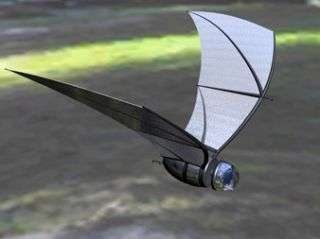 Sensors for bat-inspired spy plane under development