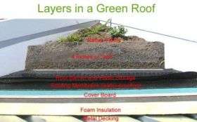 Side View of Green Roof Layers