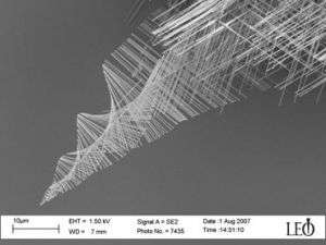 Spiraling pine tree-like nanowires