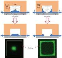 'Stamping' self-assembling nanowires