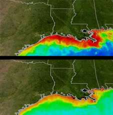Summer Storms Could Mean More Dead Zones