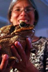 Toad research could leapfrog to new muscle model