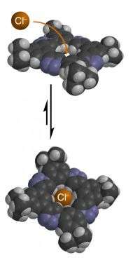 Uncharged organic molecule can bind negatively charged ions
