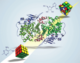 Vitamin B1 biosynthesis: Think Rubik's cube