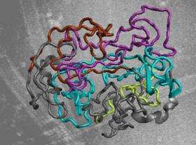 Forgotten and lost - when proteins 'shut down' our brain