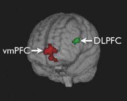 Caltech researchers pinpoint the mechanisms of self-control in the brain