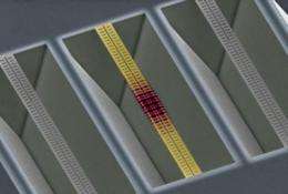 Caltech scientists create nanoscale zipper cavity that responds to single photons of light