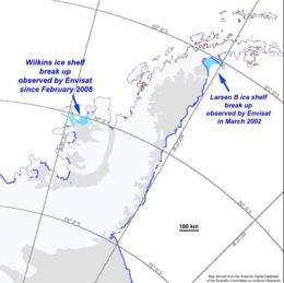 Collapse of the ice bridge supporting Wilkins Ice Shelf appears imminent