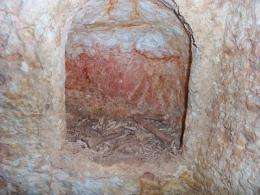 DNA of Jesus-era shrouded man in Jerusalem reveals earliest case of leprosy