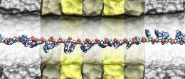 IBM Research Aims to Build Nanoscale DNA Sequencer (w/ Video)