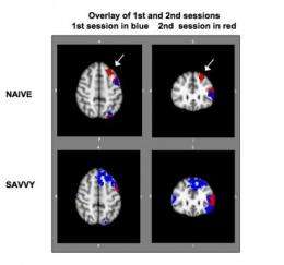 First-time Internet users find boost in brain function after just 1 week