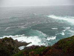 Galician waves are best for producing energy