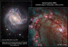 Hubble Image Showcases Star Birth in M83, the Southern Pinwheel