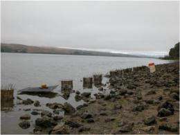Invasive species threaten critical habitats, oyster among victims
