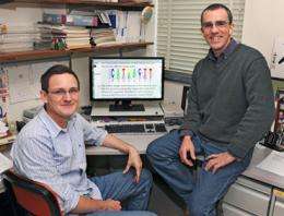 Iowa State University researcher discovers key to vital DNA, protein interaction 