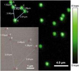 Nanocrystals reveal activity within cells