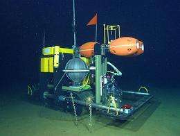 New robot travels across the seafloor to monitor the impact of climate change on deep-sea ecosystems