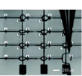 New silver-based ink has applications in printed electronics