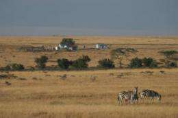 New study shows widespread and substantial declines in wildlife in Kenya's Masai Mara