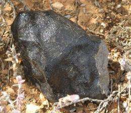 Nullarbor fireball cameras find rare meteorite