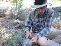 Plant communication: Sagebrush engage in self-recognition and warn of danger