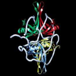 Single-stranded DNA-binding protein is dynamic, critical to DNA repair