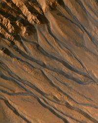 The Meandering Channels of Mars