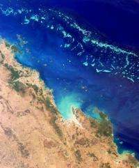 The reef is one of Australia's top tourist attractions
