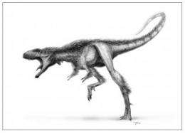 T. rex body plan debuted in Raptorex, but 100th the size