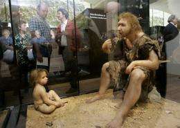 Visitors at the Museum for Prehistory in Eyzies-de-Tayac look at a reconstruction of a Neanderthal man