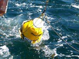 Researchers Use New Acoustic Tools to Study Marine Mammals and Fish