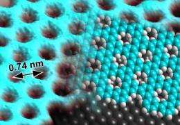 Scientists synthesize graphene-like material: Polymer with honeycomb structure