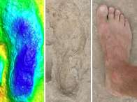 1.5 million-year-old fossil humans walked on modern feet (Video)