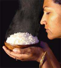 Researchers uncover genetic origins of rice fragrance