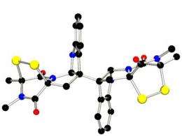 Chemists synthesize fungal compound with anti-cancer activity