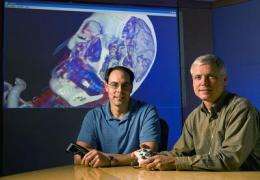 Iowa State engineers develop 3-D software to give doctors, students a view inside the body