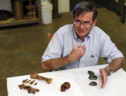 IU discovers stone tools, rare animal bones -- clues to Caribbean's earliest inhabitants