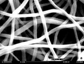 Nanowires may lead to better fuel cells