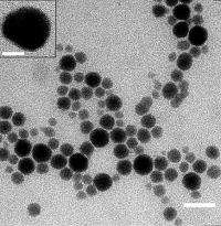 Silver nanoparticles show 'immense potential' in prevention of blood clots