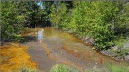 New research may help to clean drainage from abandoned mines
