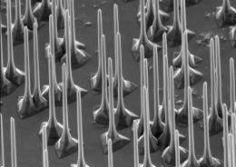 Nanotechnology gets a new light touch